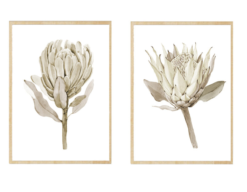 Set de 2 cuadros decorativos FL021 - Imagen 3