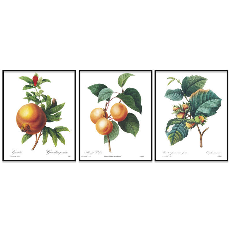 Set de 3 cuadros para baño y cocina