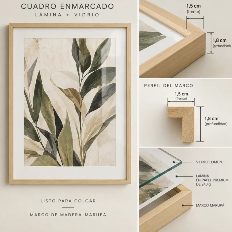 3 cuadros Botanicos BT078, foto 6